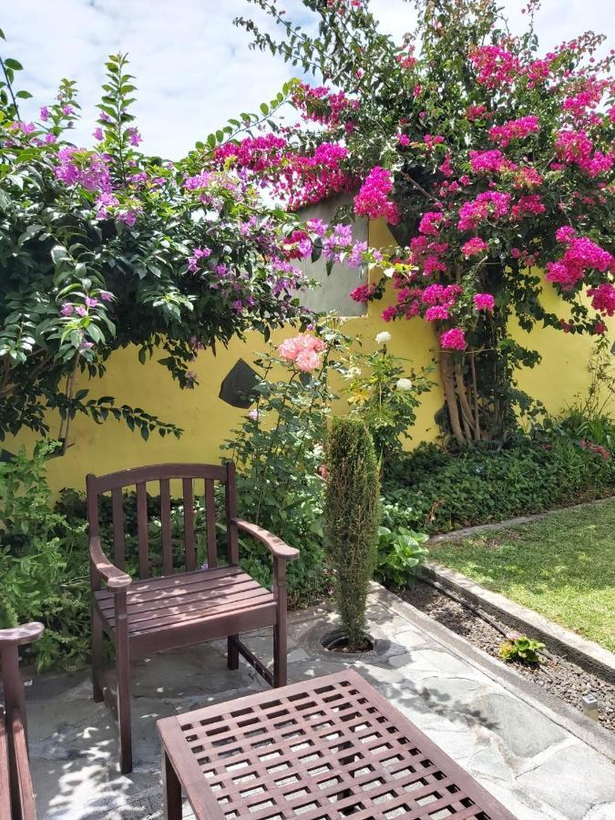 Mi Jardin Vila Frontera Exterior foto