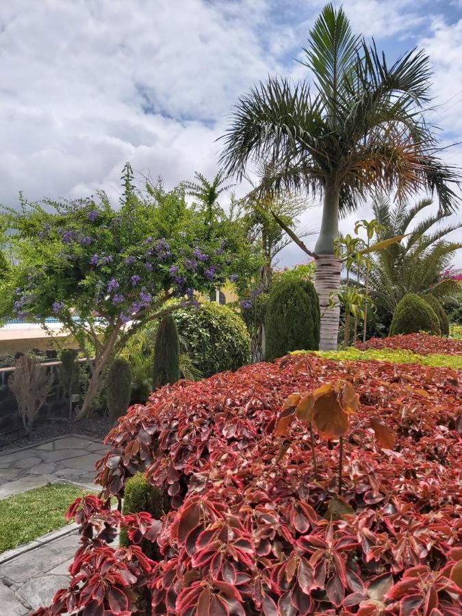 Mi Jardin Vila Frontera Exterior foto