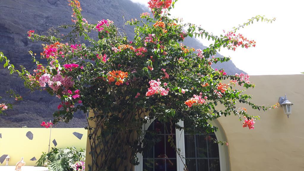 Mi Jardin Vila Frontera Exterior foto