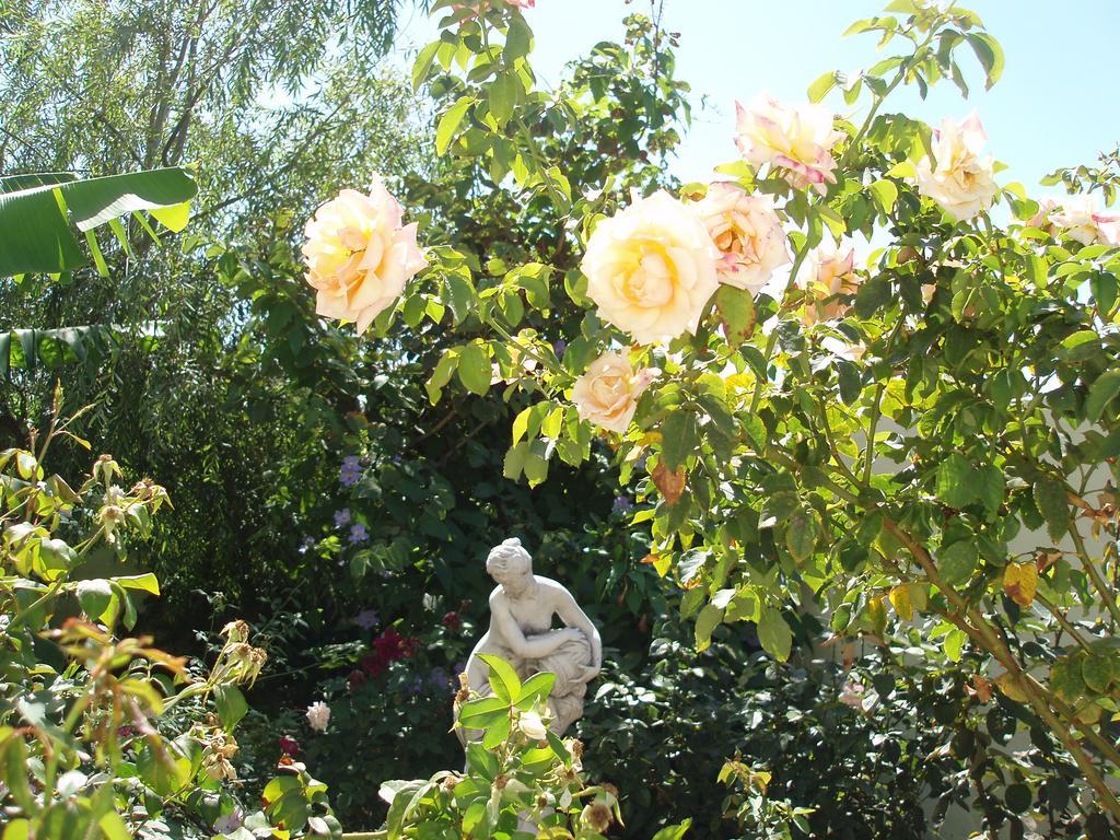 Mi Jardin Vila Frontera Exterior foto